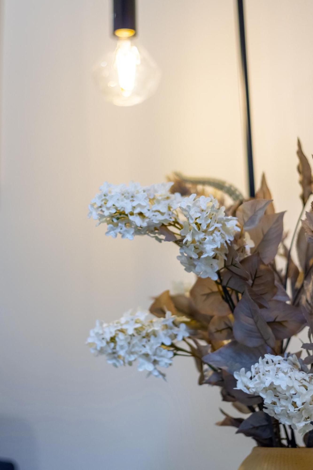 Executive Suite On Lichfield Street - 2 Bed 2 Bath Christchurch Eksteriør bilde